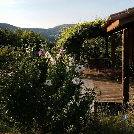 Jaune - Piscine Partagee Chalet *