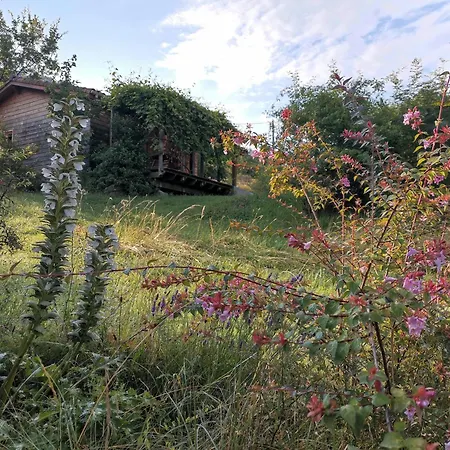 Jaune - Piscine Partagee Chalet