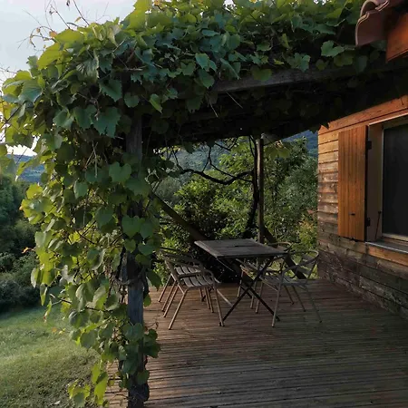 Jaune - Piscine Partagee Chalet Darbres