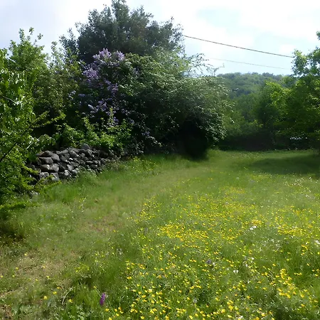 Chalet Jaune - Piscine Partagee