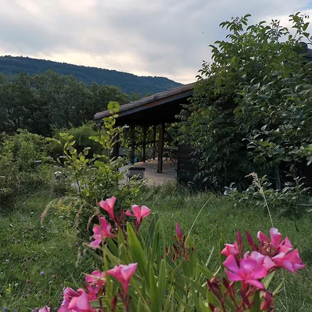 Jaune - Piscine Partagee Chalet Darbres
